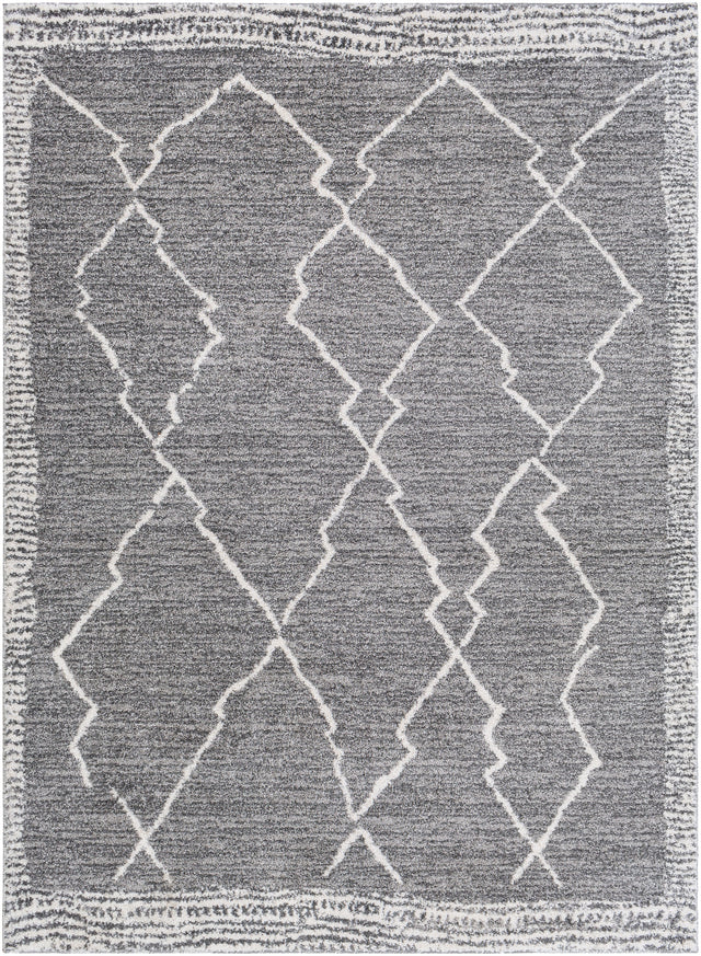 Surya Andorra Ard-2309 Medium Gray, Charcoal, White Rugs.