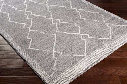 Surya Andorra Ard-2309 Medium Gray, Charcoal, White Area Rug