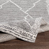 Surya Andorra Ard-2309 Medium Gray, Charcoal, White Rugs.