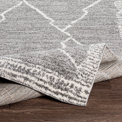 Surya Andorra Ard-2309 Medium Gray, Charcoal, White Area Rug