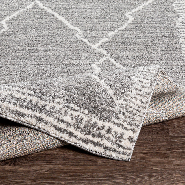 Surya Andorra Ard-2309 Medium Gray, Charcoal, White Rugs.