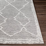 Surya Andorra Ard-2309 Medium Gray, Charcoal, White Rugs.