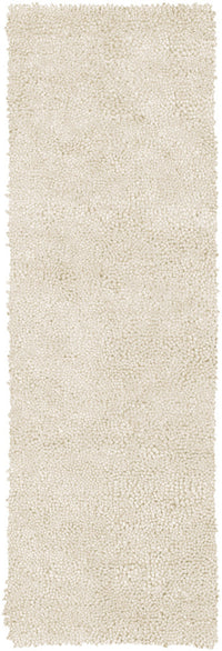 Surya Aros aros-2 Ivory Shag Area Rug