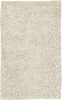 Surya Aros aros-2 Ivory Shag Area Rug