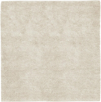 Surya Aros aros-2 Ivory Shag Area Rug