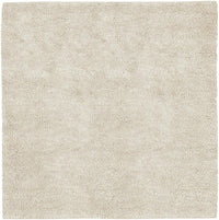 Surya Aros aros-2 Ivory Shag Area Rug