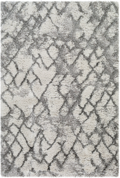 Surya Alta Shag Asg-2300 White, Light Gray, Medium Gray Area Rug