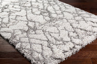 Surya Alta Shag Asg-2300 White, Light Gray, Medium Gray Area Rug