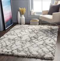 Surya Alta Shag Asg-2300 White, Light Gray, Medium Gray Area Rug