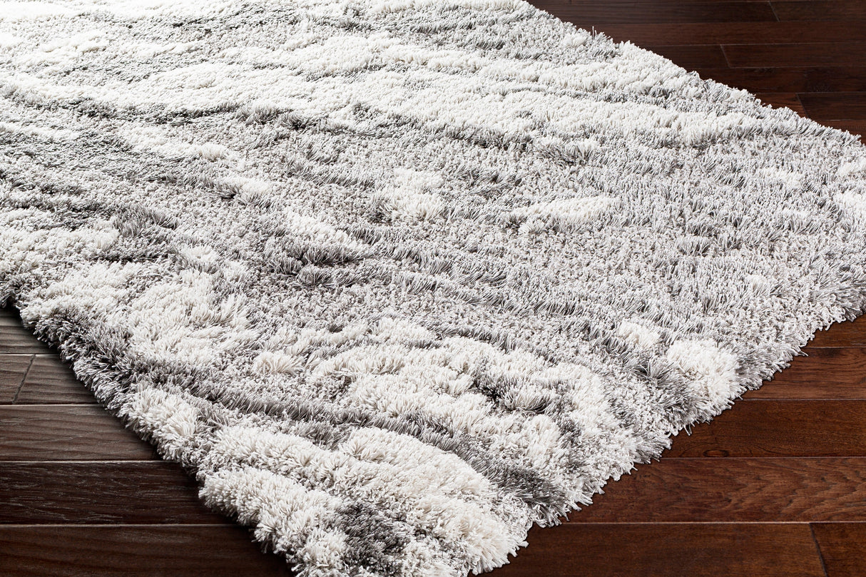 Surya Alta Shag Asg-2301 Medium Gray, Light Gray, White Rugs.