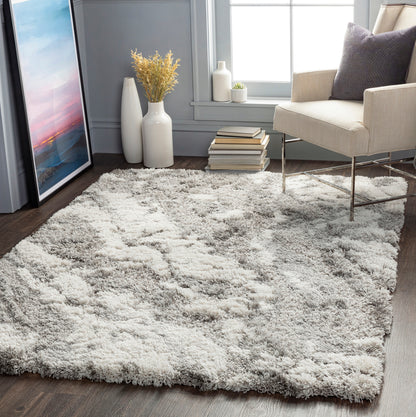 Surya Alta Shag Asg-2301 Medium Gray, Light Gray, White Area Rug