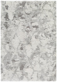 Surya Alta Shag Asg-2302 Light Gray, White, Medium Gray Area Rug