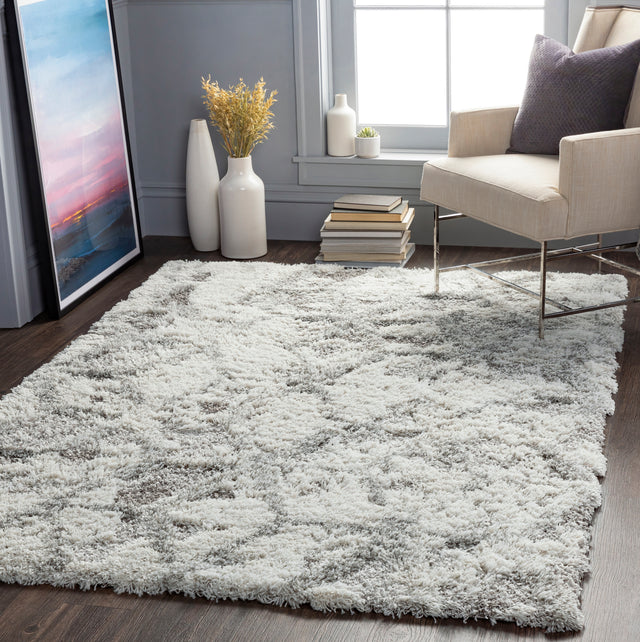 Surya Alta Shag Asg-2302 Light Gray, White, Medium Gray Rugs.