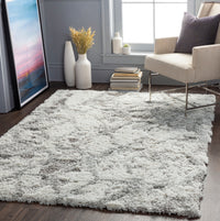 Surya Alta Shag Asg-2302 Light Gray, White, Medium Gray Area Rug