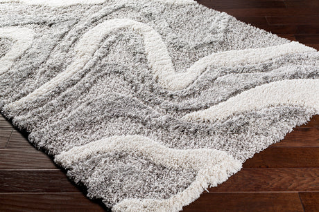 Surya Alta Shag Asg-2303 Charcoal, White, Light Gray, Medium Gray Rugs.
