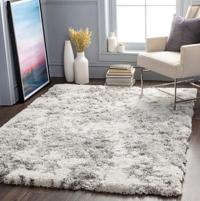 Surya Alta Shag Asg-2304 White, Light Gray, Medium Gray Rugs.