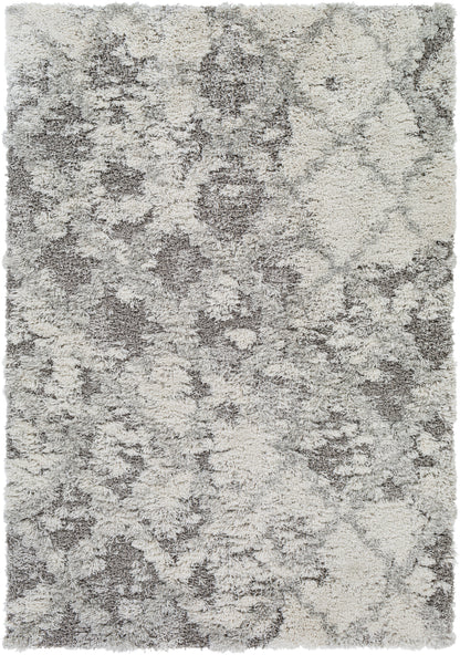 Surya Alta Shag Asg-2305 White, Light Gray, Medium Gray Area Rug