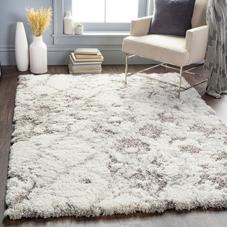 Surya Alta Shag Asg-2305 White, Light Gray, Medium Gray Rugs.