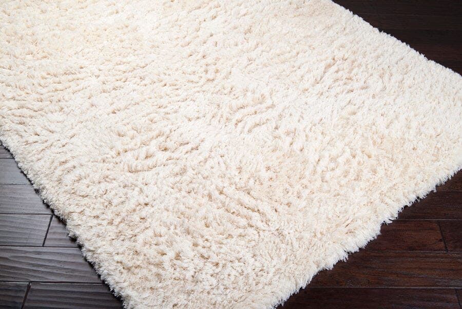 Surya Ashton ash-1300 Ivory Rugs.