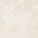 Surya Ashton ash-1300 Ivory Rugs.