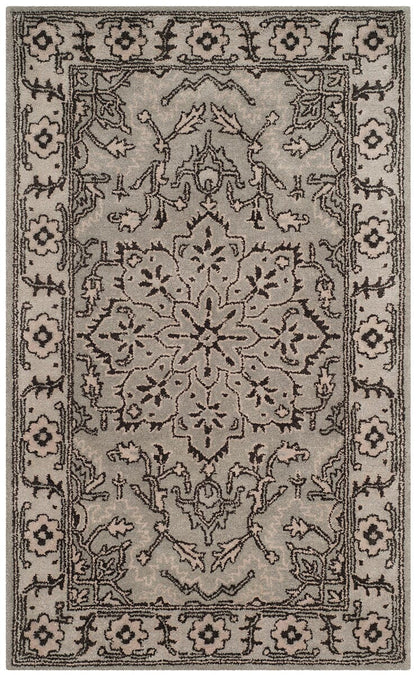 Safavieh Antiquity At58A Grey / Beige Area Rug