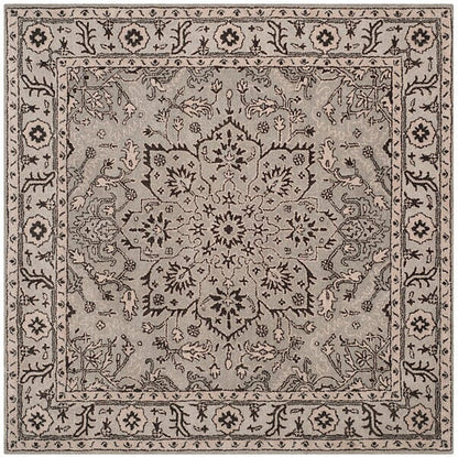 Safavieh Antiquity At58A Grey / Beige Area Rug