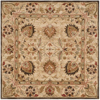 Safavieh Antiquity At812A Beige / Beige Area Rug