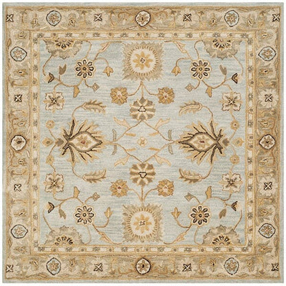 Safavieh Antiquity At856B Light Blue / Sage Area Rug