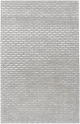 Surya Atlantis atl-6001 Gray / Silver Rugs.