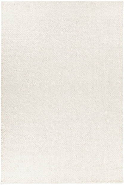 Chandra Aveda Ave-34800 Ivory Shag Area Rug