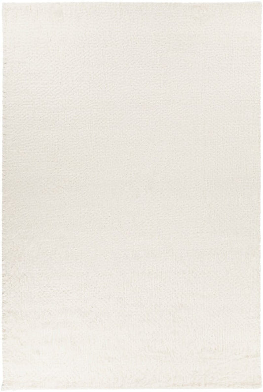 Chandra Aveda Ave-34800 Ivory Shag Area Rug