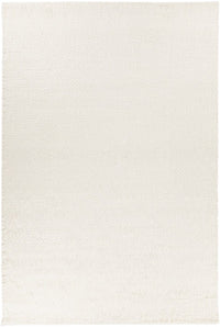 Chandra Aveda Ave-34800 Ivory Shag Area Rug