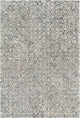 Surya Avon Avo-2303 Medium Gray, Ivory, Denim, Black Rugs.