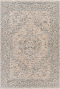 Surya Avant Garde Avt-2302 Light Gray, Medium Gray, Charcoal, Beige Area Rug