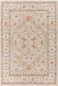 Surya Avant Garde Avt-2314 Sage, Olive, Burnt Orange, Denim Area Rug