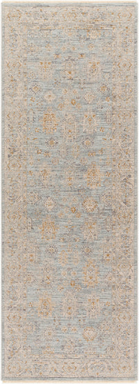 Surya Avant Garde Avt-2344 Blue Area Rug