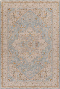 Surya Avant Garde Avt-2365 Blue Area Rug