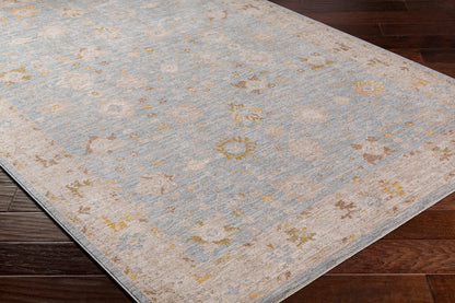 Surya Avant Garde Avt-2369 Blue Area Rug