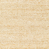 Surya Aylin Ayi-2300 Beige Rug.