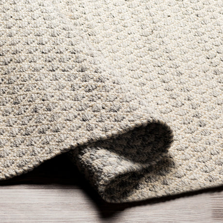 Surya Azalea Aza-2306 Medium Gray, White, Ink Rugs.