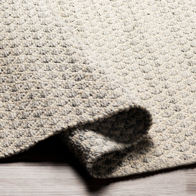 Surya Azalea Aza-2306 Medium Gray, White, Ink Rugs.