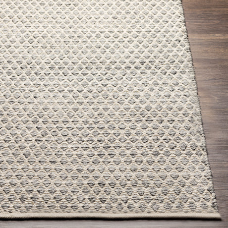 Surya Azalea Aza-2306 Medium Gray, White, Ink Rugs.