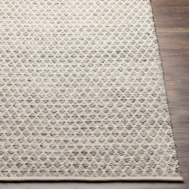 Surya Azalea Aza-2306 Medium Gray, White, Ink Rugs.