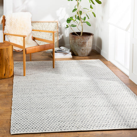 Surya Azalea Aza-2306 Medium Gray, White, Ink Rugs.