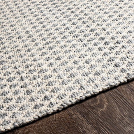 Surya Azalea Aza-2306 Medium Gray, White, Ink Rugs.