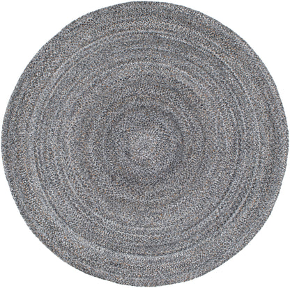 Surya Azalea Aza-2321 Light Gray, Medium Gray, Charcoal, Dark Brown Area Rug