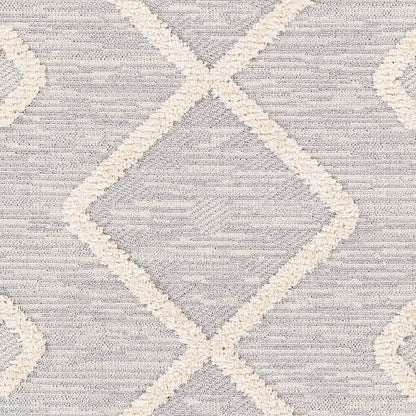 Surya Azilal Azi-2314 Gray, Ivory Area Rug