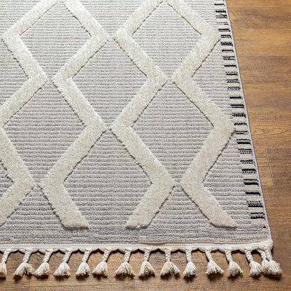 Surya Azilal Azi-2317 Gray, Ivory Area Rug