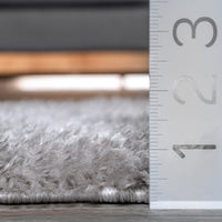 Nuloom Gynel Cloudy Ngy2913D Silver Area Rug