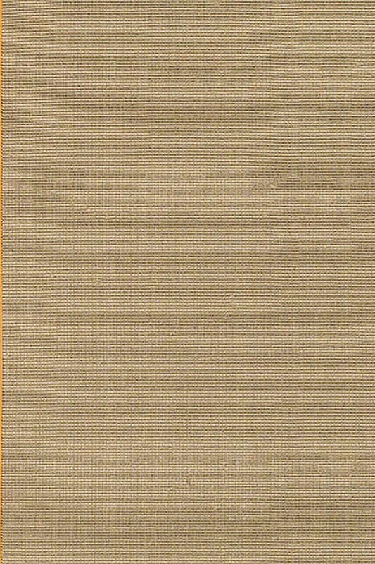 Chandra Bay bayora Tan & Ivory Bordered Area Rug